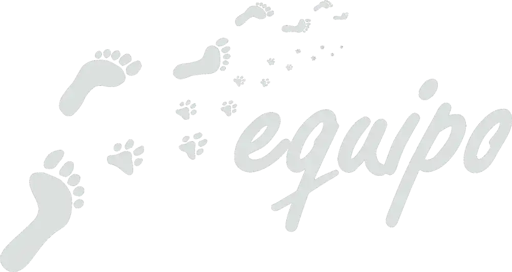 equipo – Hundeschule für Teams